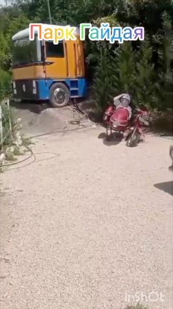 Средство передвижения