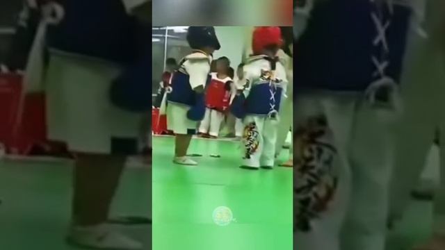 Приколы с животными и не только