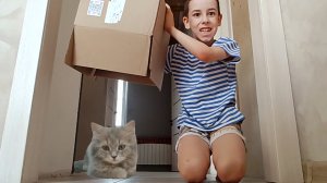 Пытаюсь поймать кошку Асю!