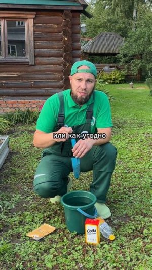 Народный рецепт от сорняков  #сад #огород #огород #shorts  #дача #комнатныерастения