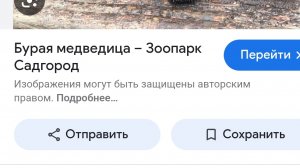обновление в игре super медведя часть 2