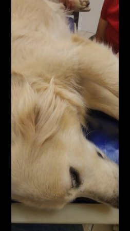 1000506687.mp4