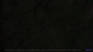 Пейзажи оживают в такт каждой новой ноте - Countryscape -- Ketsa -- Unified Division