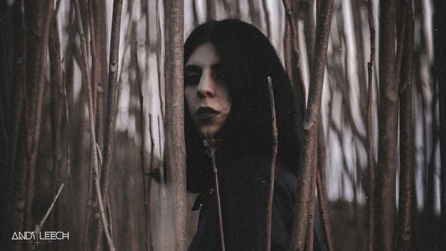 Voice of the Forest