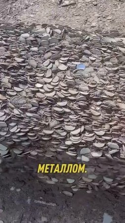 Тайна_деревьев_с_вбитой_монетой