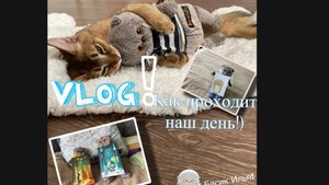 Влог! Как проходит наш день!