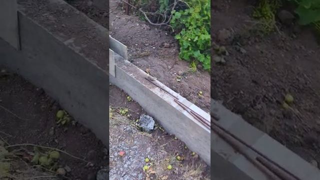Вести с полей