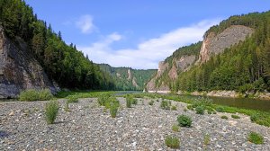 Сибирская красавица Кия.