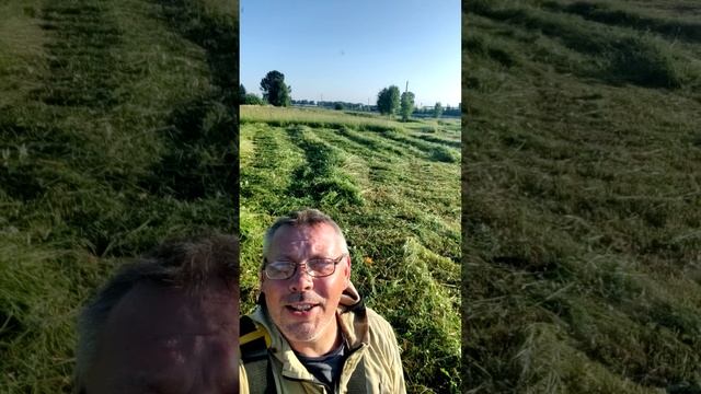 Почему сенокос — это лучшая часть фермерской жизни! 🌿💪