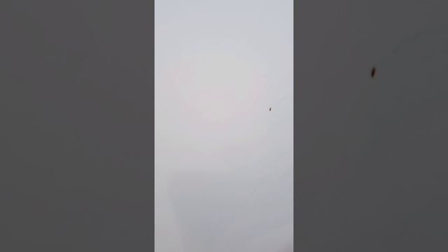 Очистка кузова от битумных пятен и жёлтых пятен - голубая абразивная глина для глубокой очистки