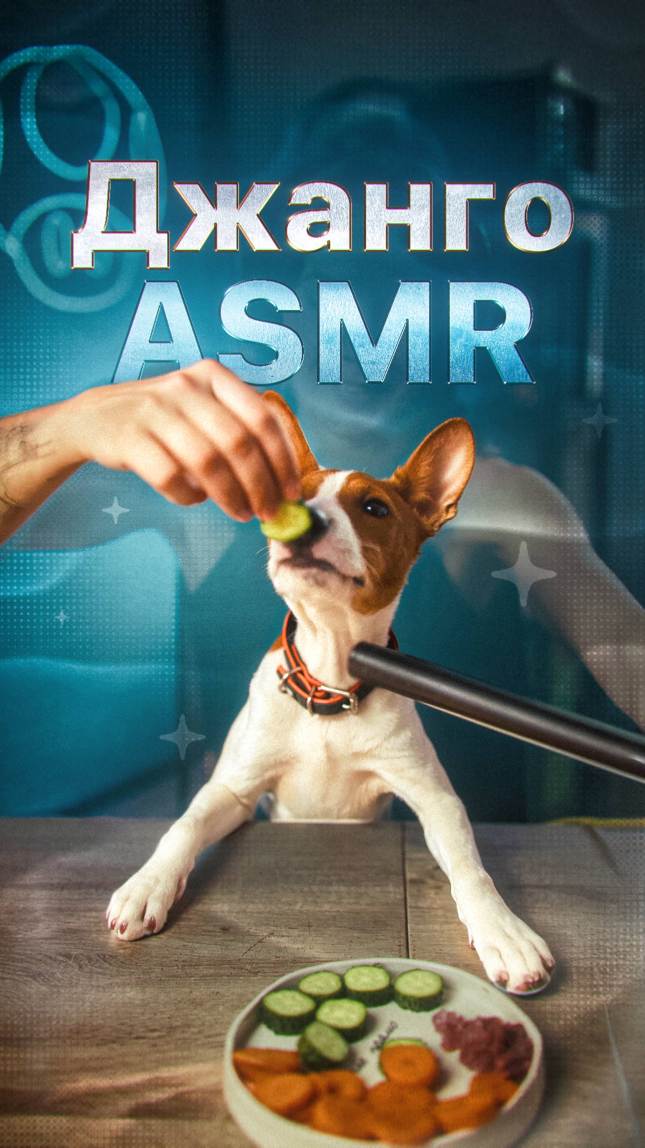 ASMR Джанго