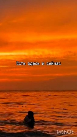 Мексиканский миллионер и Веянка 👉 #любовнаяфантастика  "ВЕЯНКА " М. СЕРРОН читаем на ЛитРес 💜