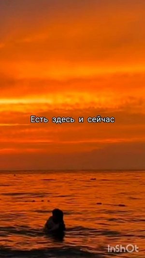 Мексиканский миллионер и Веянка 👉 #любовнаяфантастика  "ВЕЯНКА " М. СЕРРОН читаем на ЛитРес 💜