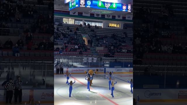 Зажигательное видео от талисмана нашей хоккейной команды мамонта Пархома