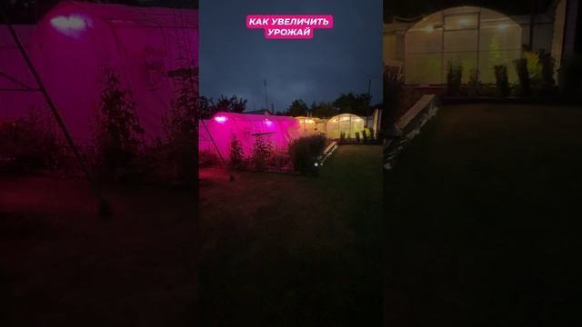 СУПЕР СПОСОБ УВЕЛИЧЕНИЯ УРОЖАЯ