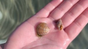 🌊 Подводный морской мир 🌊