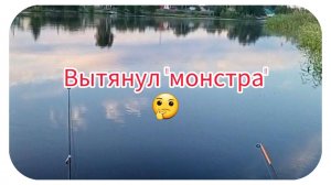 Вытянул монстра