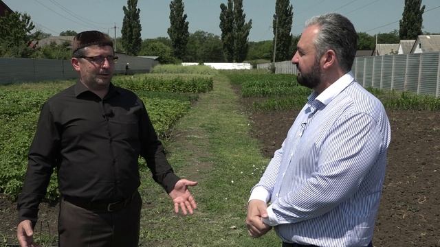 Теория 080725  автор Тимур Ужахов