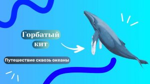 Горбатый кит! Путешествие сквозь океаны