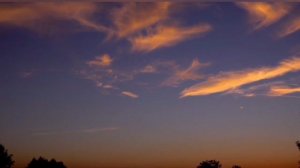 "Букет из роз"