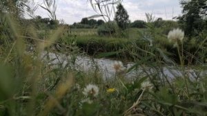 Для дневного сна,звуки природы.