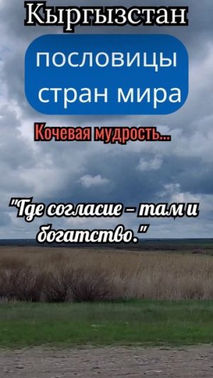 Пословицы