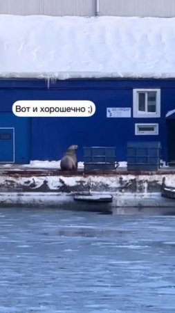 воришка, с поличным поймали🤣
