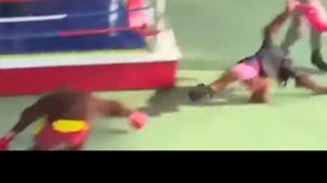 Смешной бой обезьян СМОТРЕТЬ ВИДЕО ПРИКОЛЫ МЕГА СМЕШНОЙ ПРИКОЛ