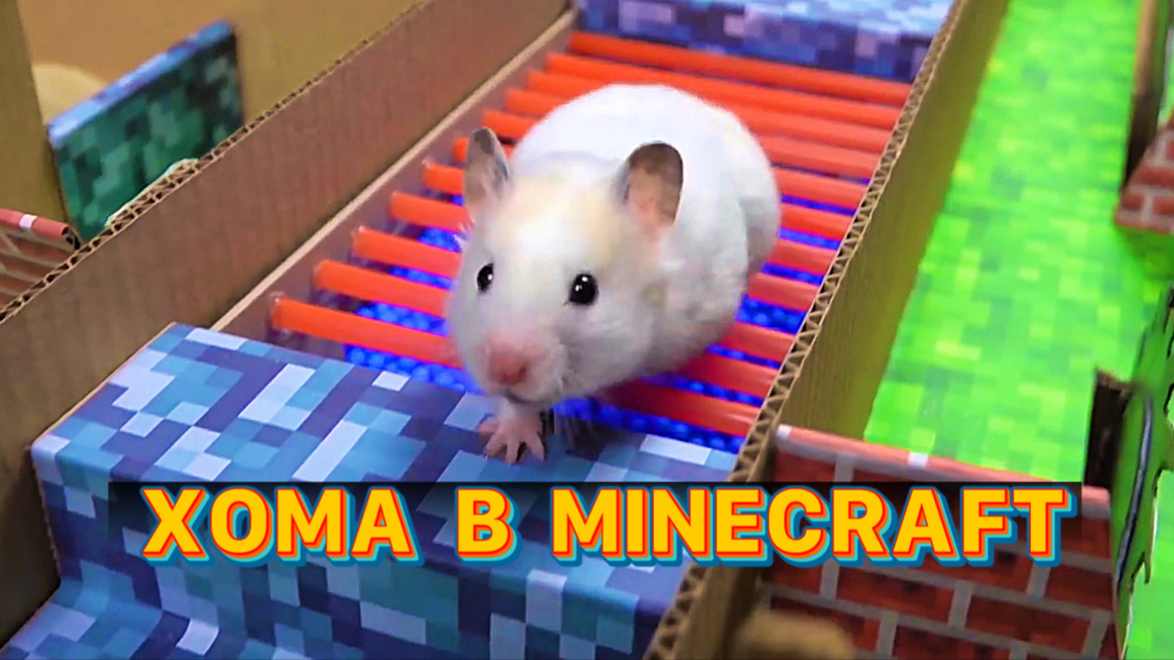 ХОМЯЧОК МАЙНКРАФТ ГЕРОЙ • ПРОХОДИТ ПОЛОСУ ПРЕПЯТСТВИЙ В МИРЕ MINECRAFT