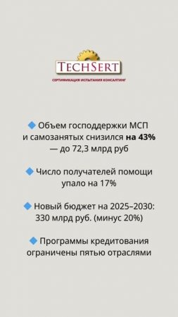 📉 Господдержку МСБ урезали почти наполовину