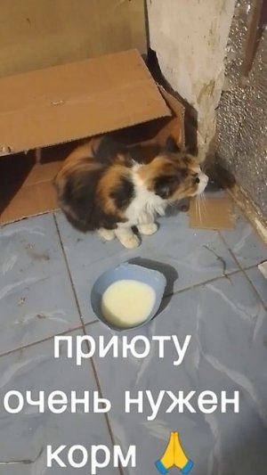 +7985 193 0027 сбер элплат