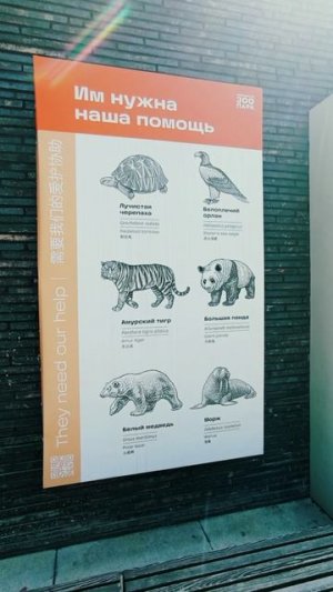 постеры в зоопарке