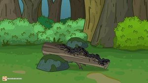 HomeAnimations – Мультики про танки  После такого мы не может называться БРАТЬЯМИ  !