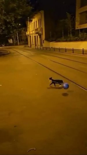 Кто-то утащил шарик 🎈