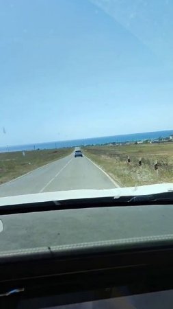 удача. Оленевка. Крым. Россия