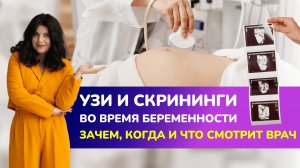 УЗИ и скрининги во время беременности. Зачем, когда и что смотрит врач?