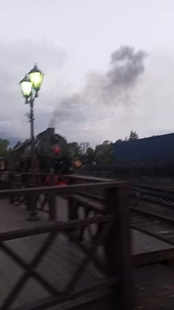 1000027238.mp4