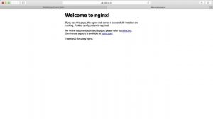 4. Nginx Установка с помощью менеджера пакетов