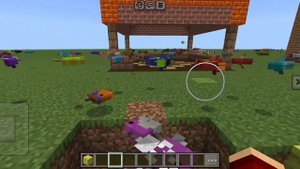 Рыбы скачут 😂