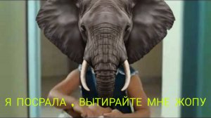 Я насрала