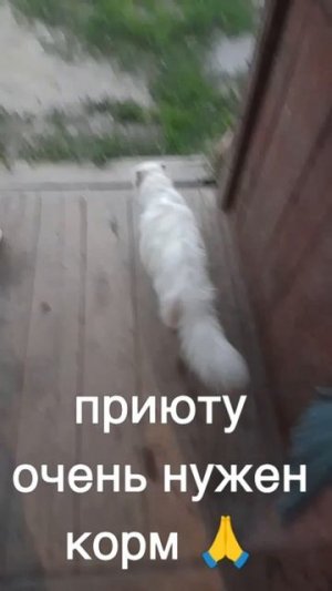 +7985 193 0027