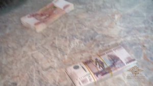 Ирина Волк: Оперативниками задержаны четверо подозреваемых в мошенничествах в отношении пенсионеров