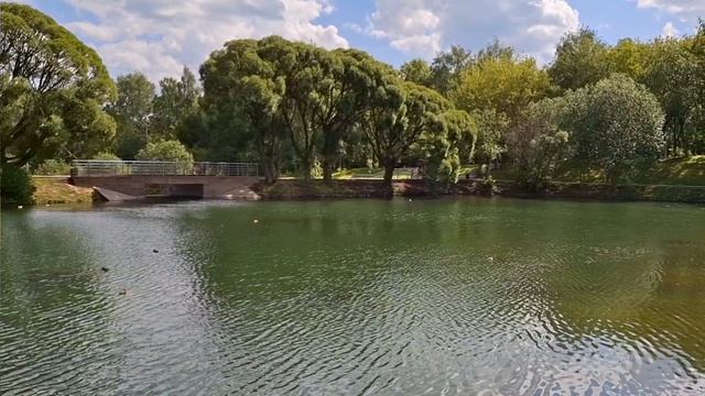 ХИТ ЛЕТА "АРАБСКОЕ ЗОЛОТО" кавер/СЕРГЕЙ САМЫЛОВ/ смотреть онлайн