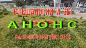 Ночная ПРАгулка 2025. АНОНС