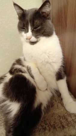 вот оказывается в чём причина 😄