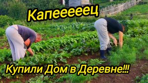 КАПЕЕЕЦ КУПИЛИ ДОМ В ДЕРЕВНЕ | ПРО РЫБАЛКУ И не только | Дом в деревне |Деревенские будни