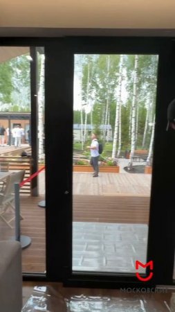 Вариант двери для коттеджа!