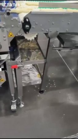 1000005359.mp4