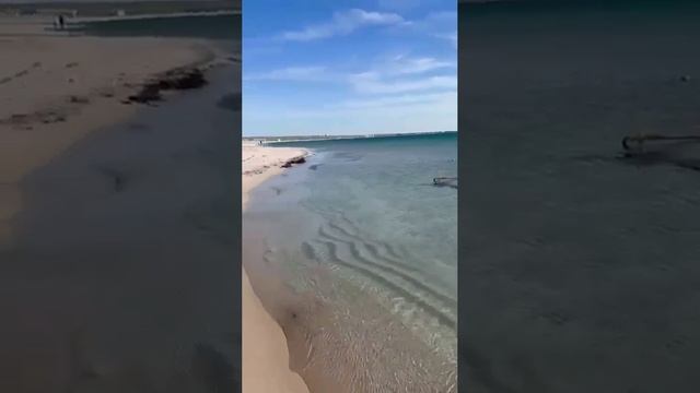 матушка земля. Крым. Красивая Оленевка