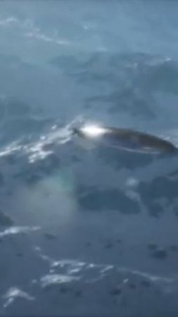 Вертолетчики сняли над Камчаткой НЛО в р-не ГРЭС